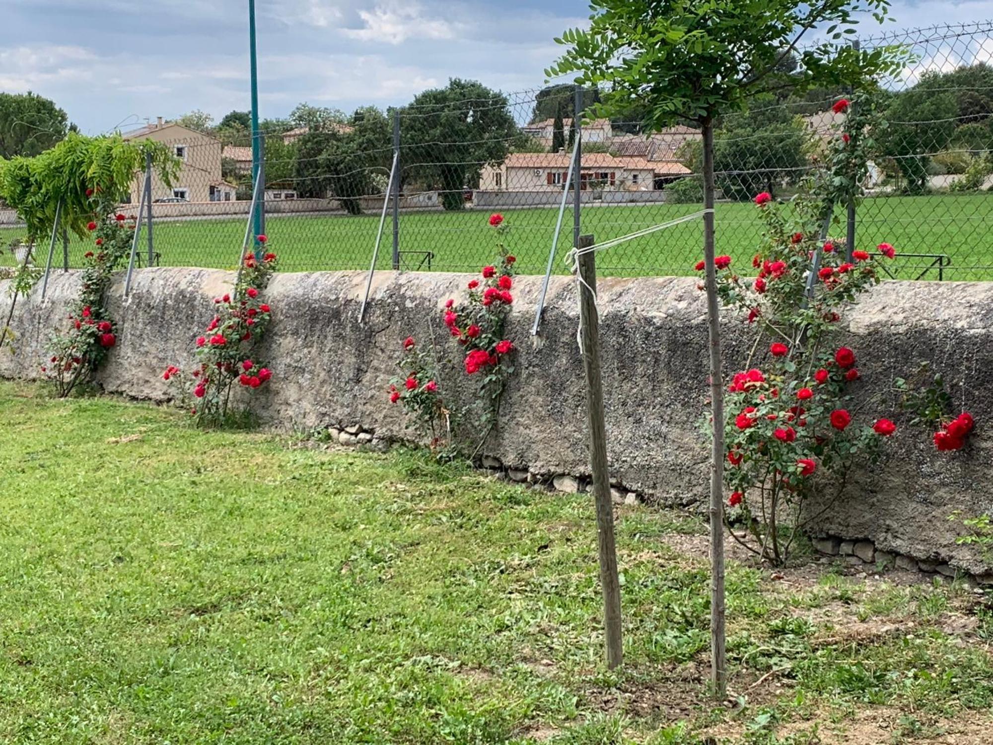 La Bergerie *