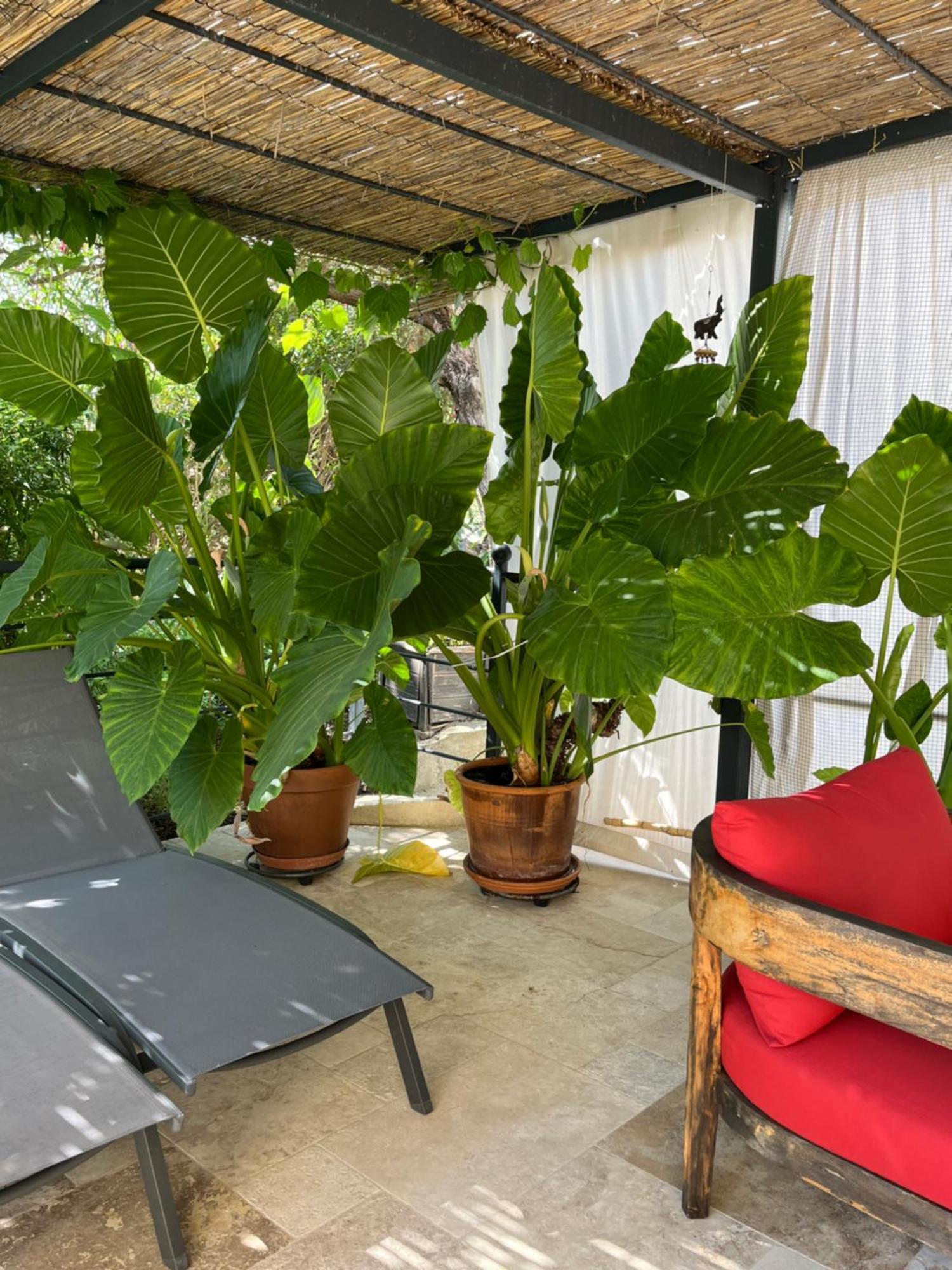 La Bergerie Appartement *