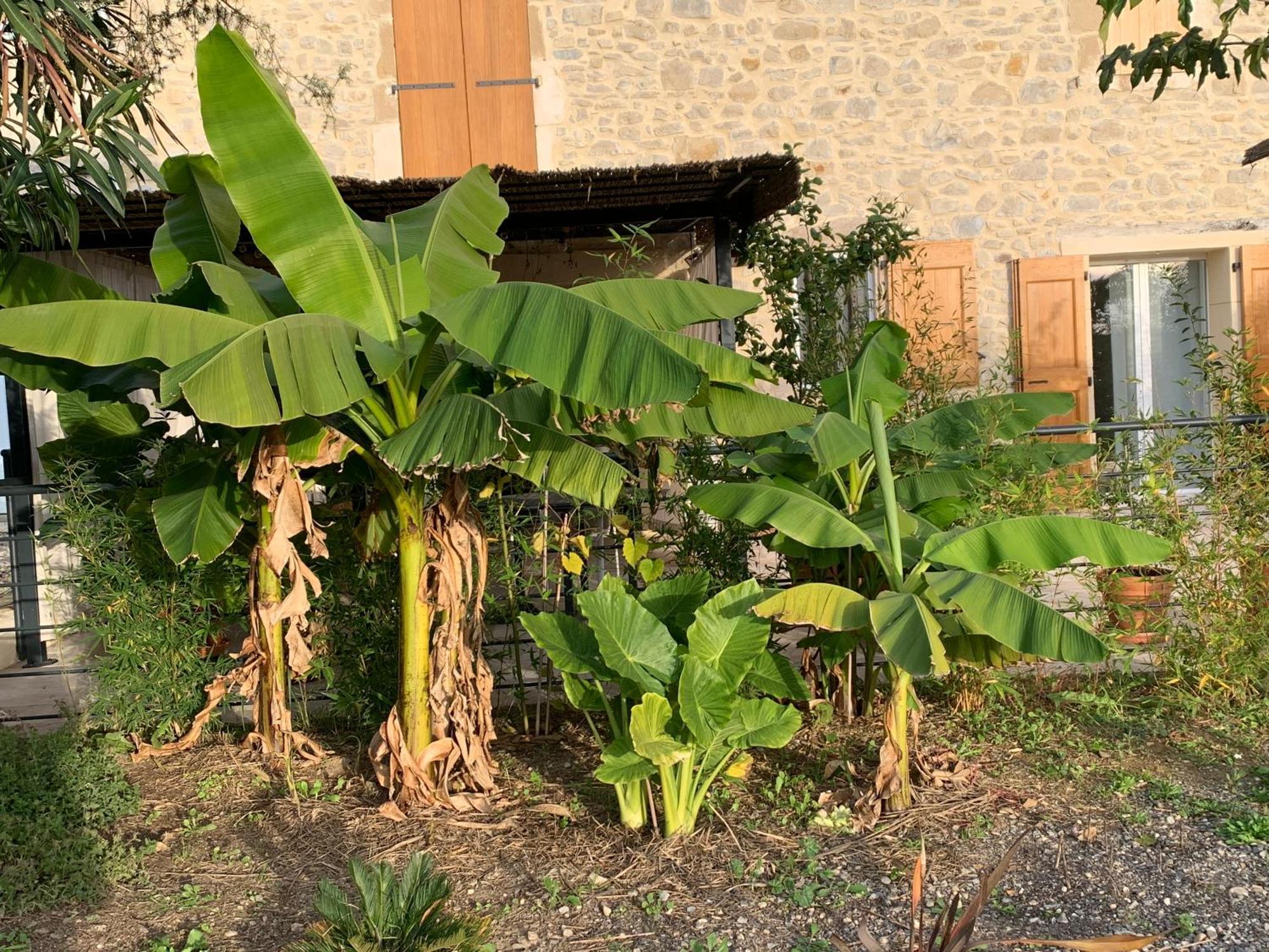 La Bergerie *